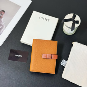 Loewe Medium Coin Purse-3881